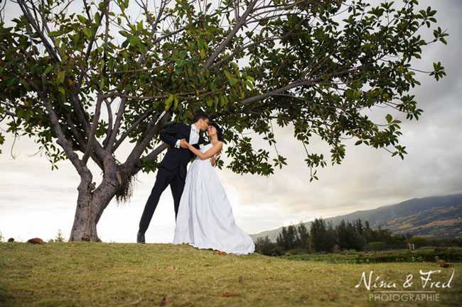 photo de mariage sous un arbre Sarah et Denis