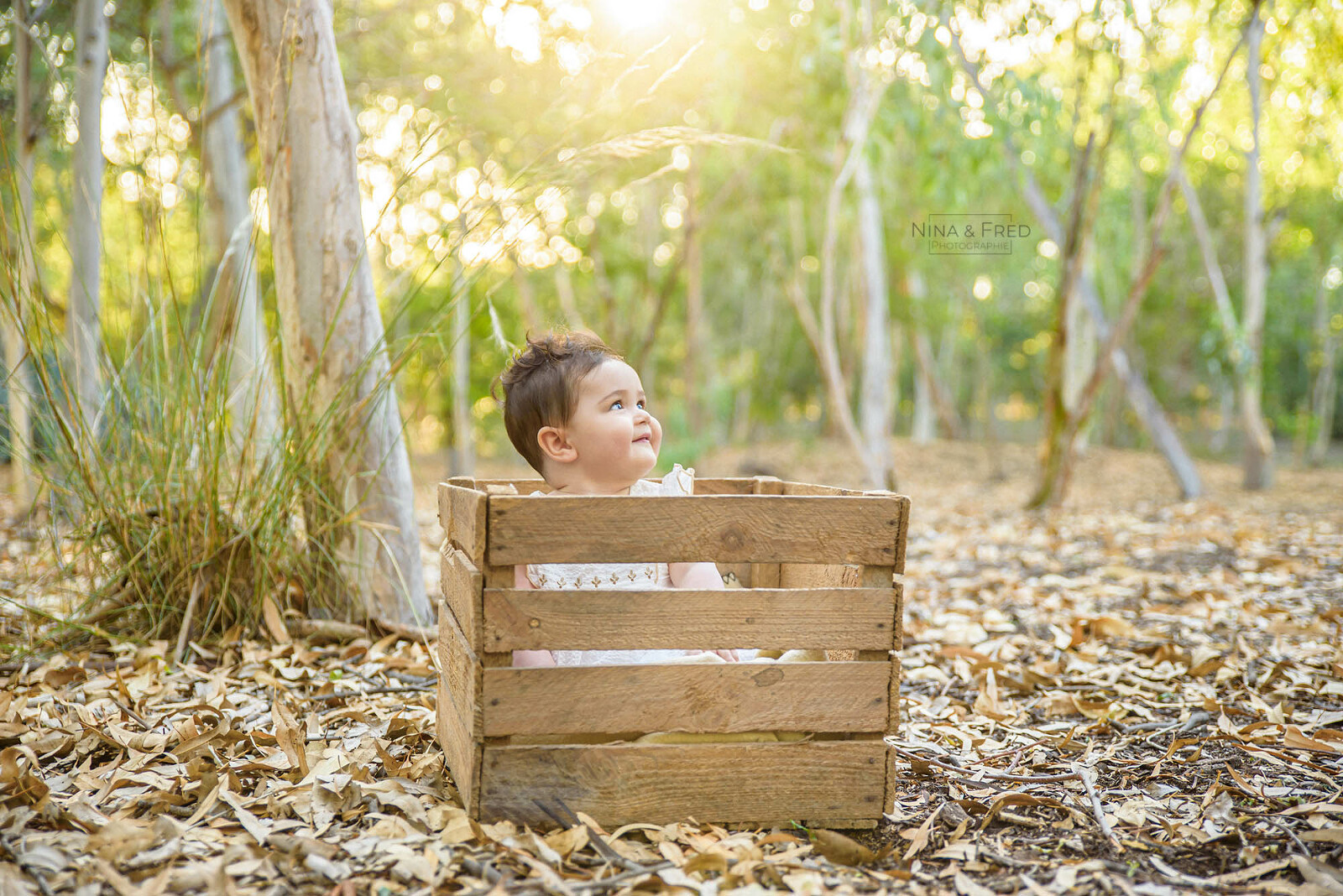 shooting famille bébé 974 C&P&E