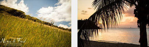 photos de paysage saint martin