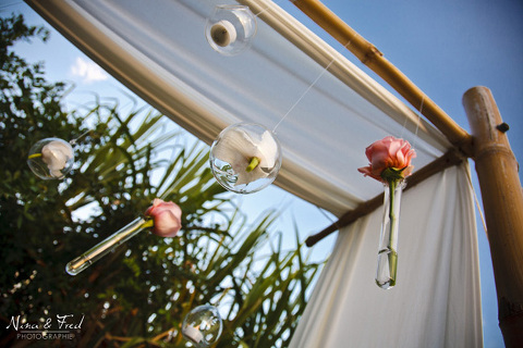 fleurs sur la structure