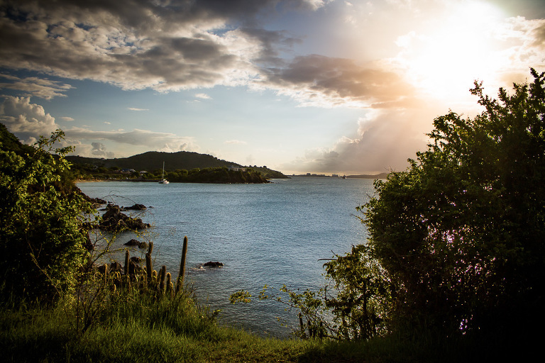 paysage de Saint Martin