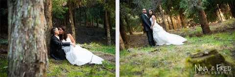 séance photo trash the dress dans la forêt Amandine