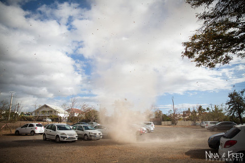 mini tornade à la Réunion