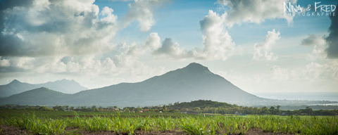 photographie d'un paysage de l'île Maurice