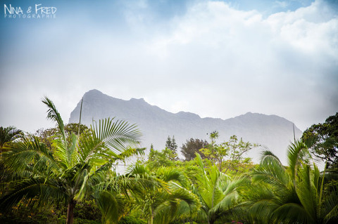 paysage île Maurice
