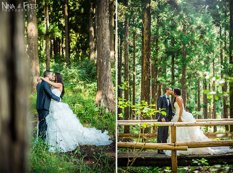 photos trash the dress A&T forêt