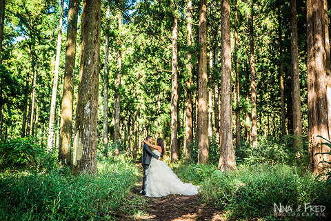 séance photo trash the dress forêt A&T