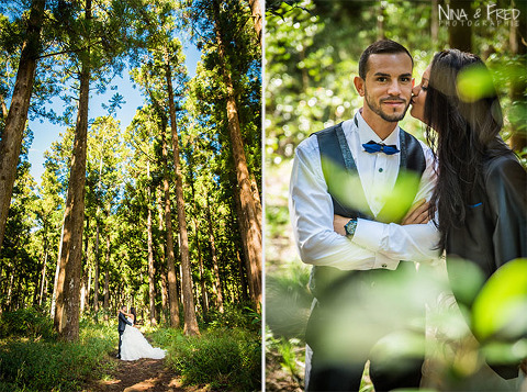 photos trash the dress Aurélie 974