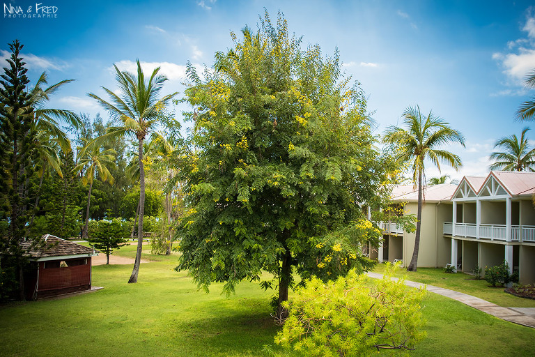 hôtel Récif Réunion A&Y