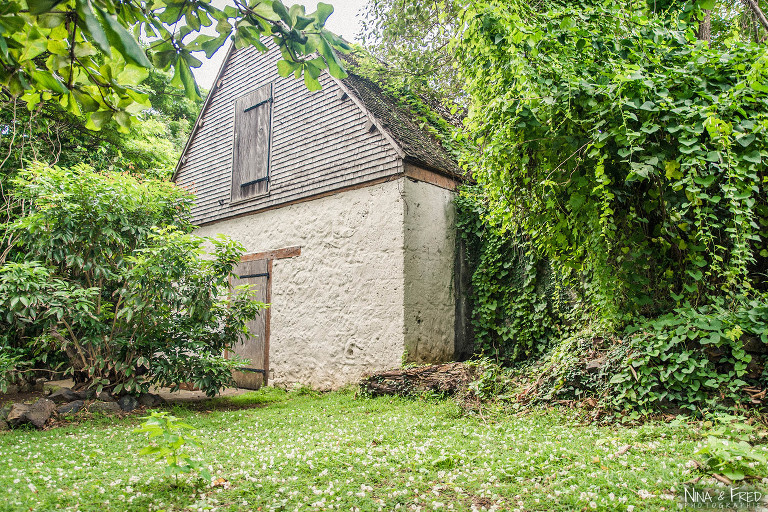 photographie Villèle île de la Réunion HS