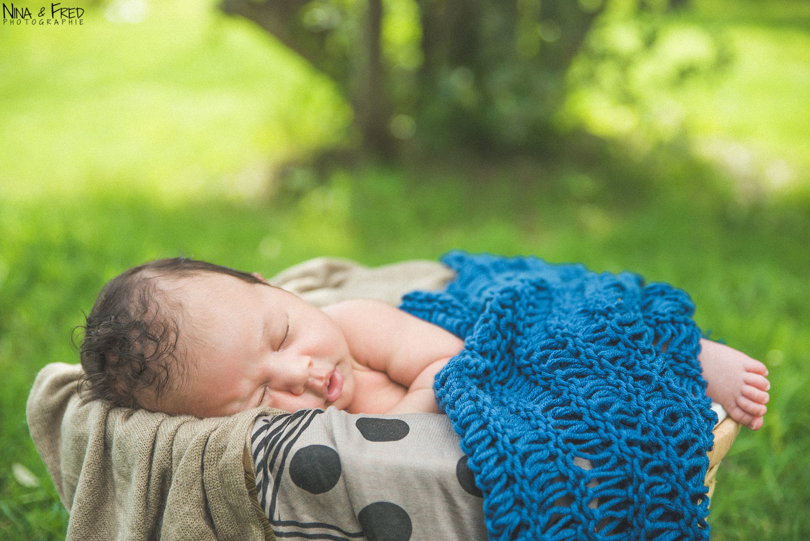 photographe naissance Réunion Rohann