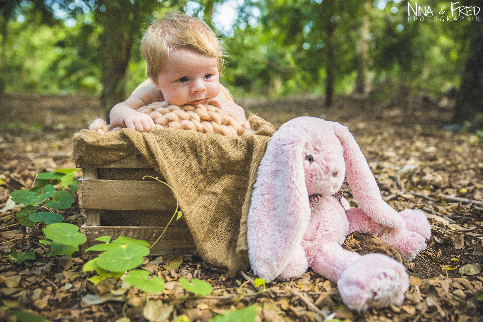 photographie de naissance forêt Elise 974