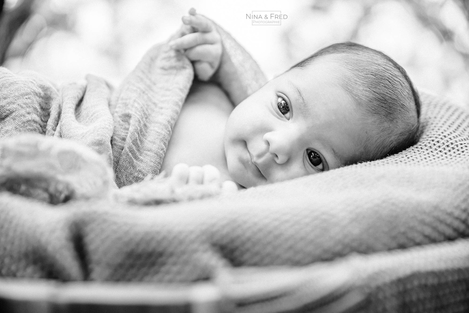 photo de naissance en noir et blanc île de la Réunion L&J&V