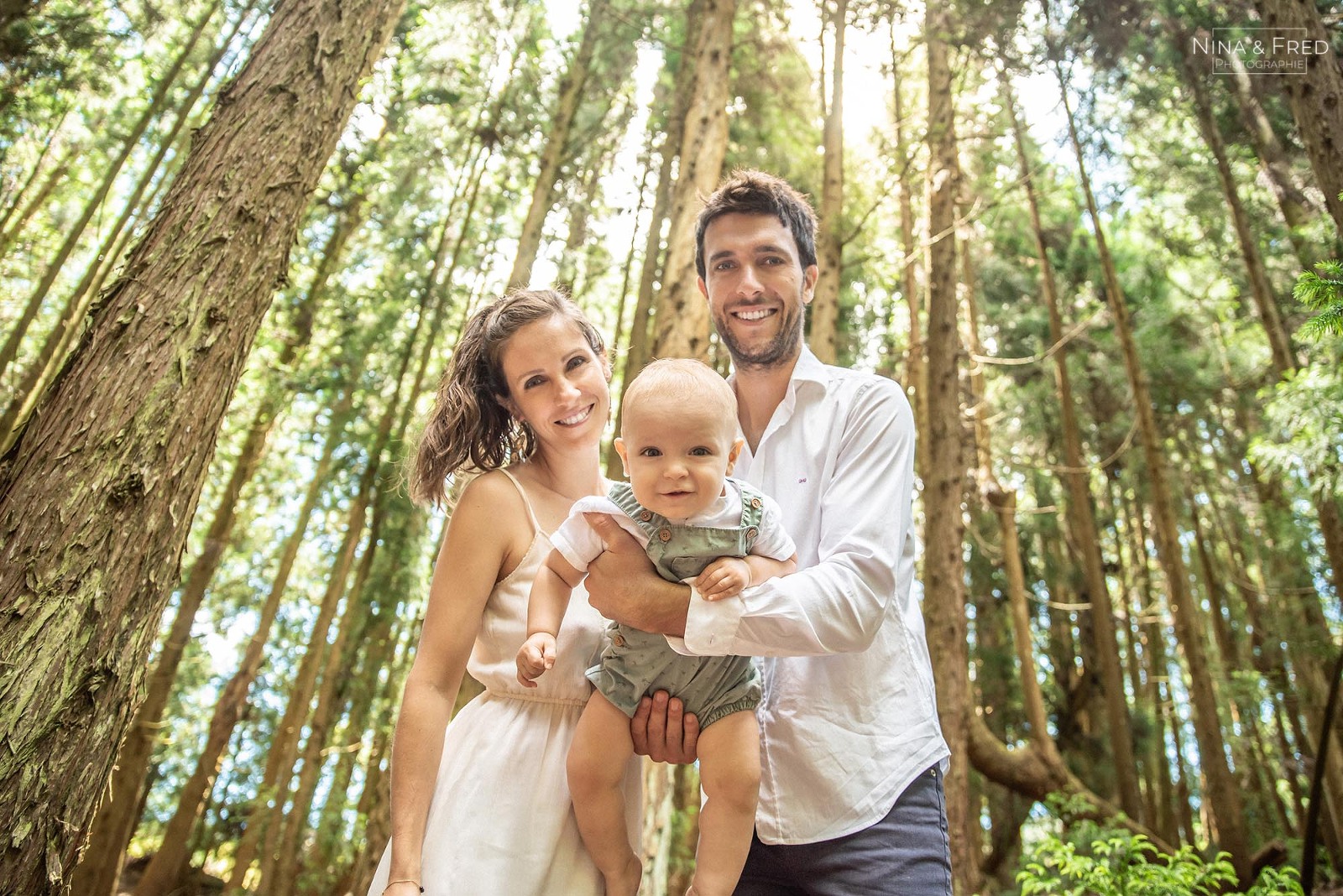 shooting forêt de cryptomérias Réunion 974