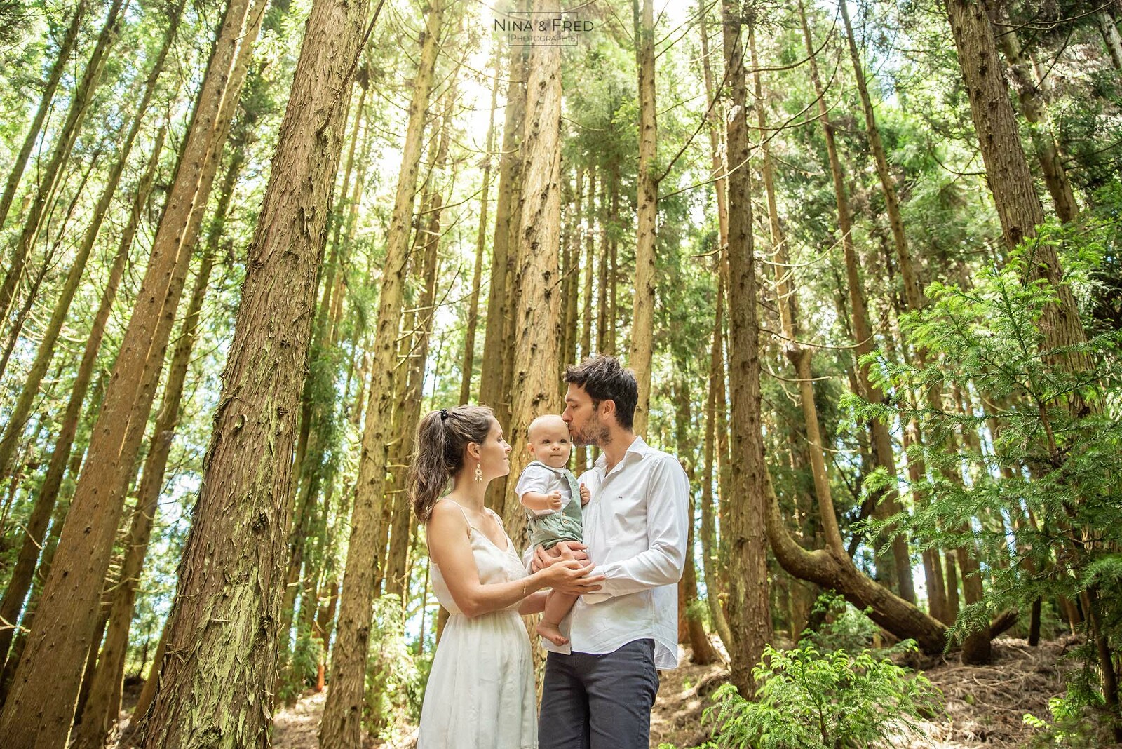 shooting foret de cryptomerias Réunion A&F&M