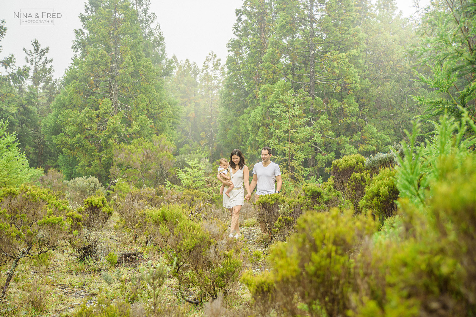seance photo famille forêt la Réunion A&L&M