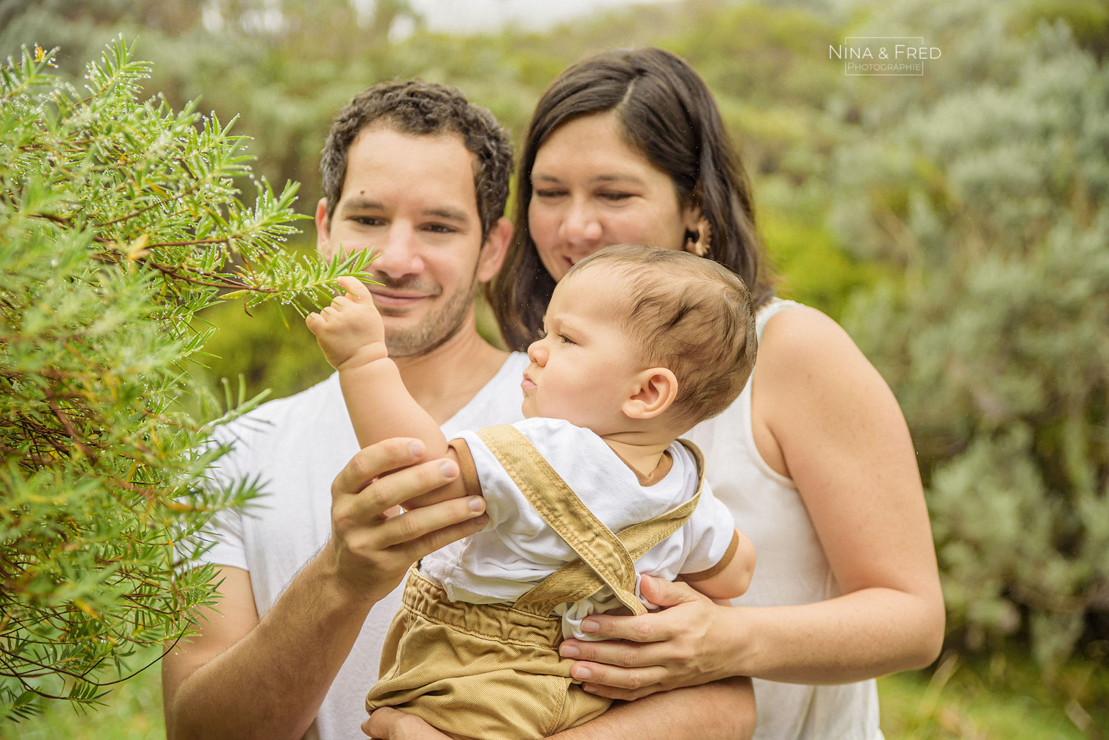 photographie famille Réunion forêt A&L&M