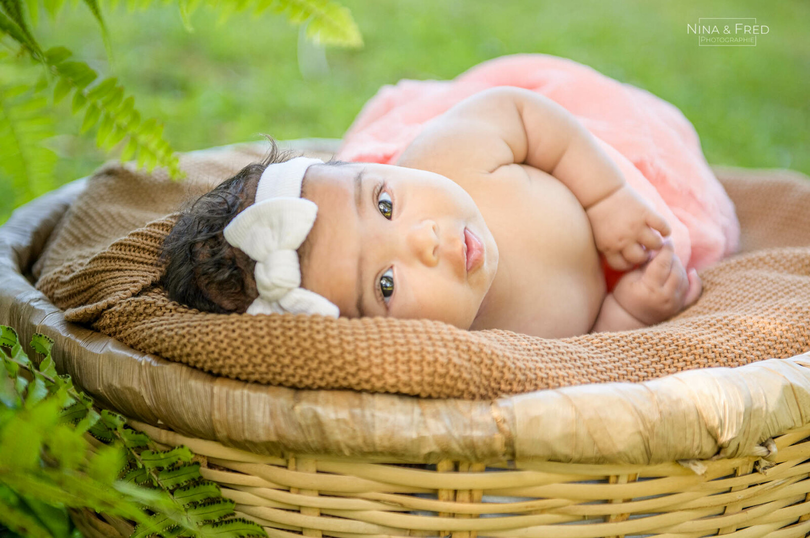 photo de bébé à la Réunion Ava-24