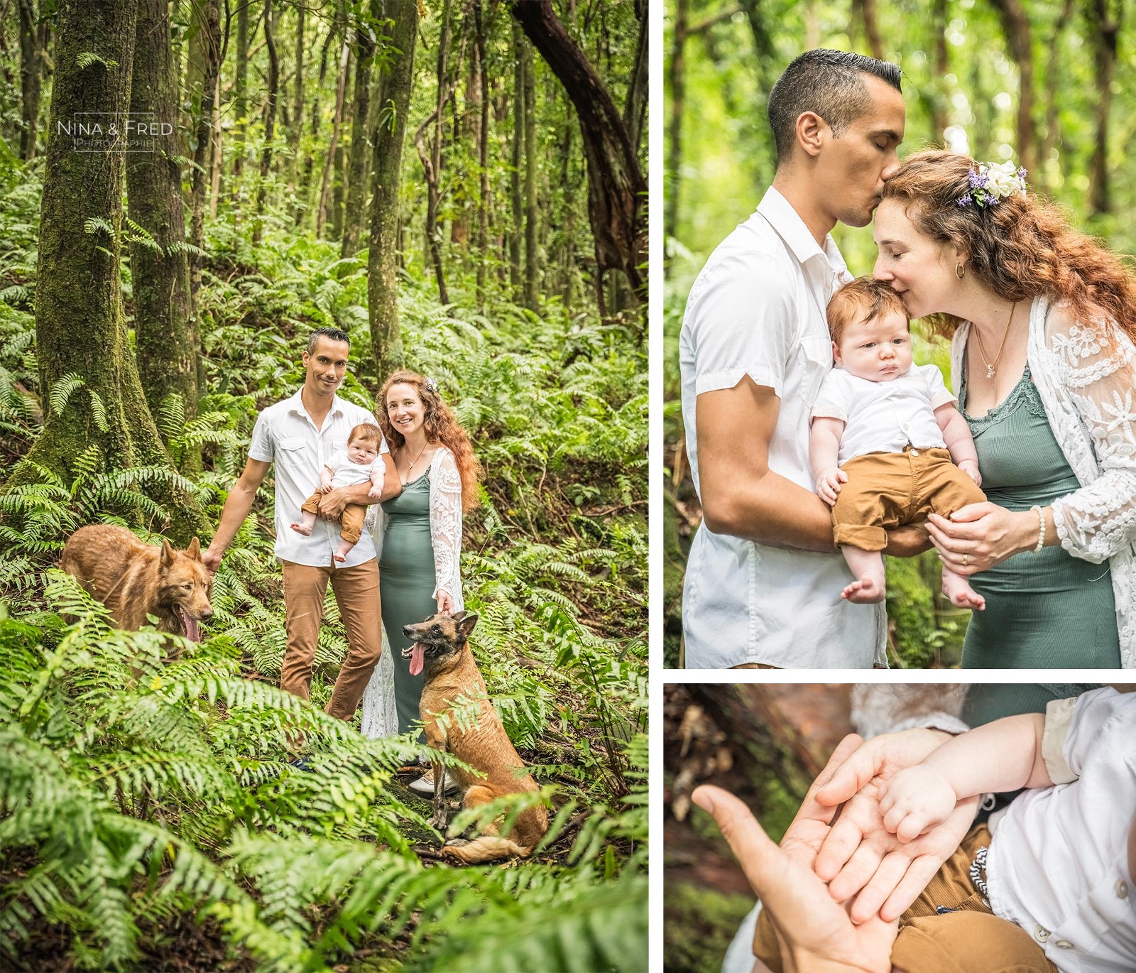 shooting famille avec chiens forêt la Réunion A&F-24