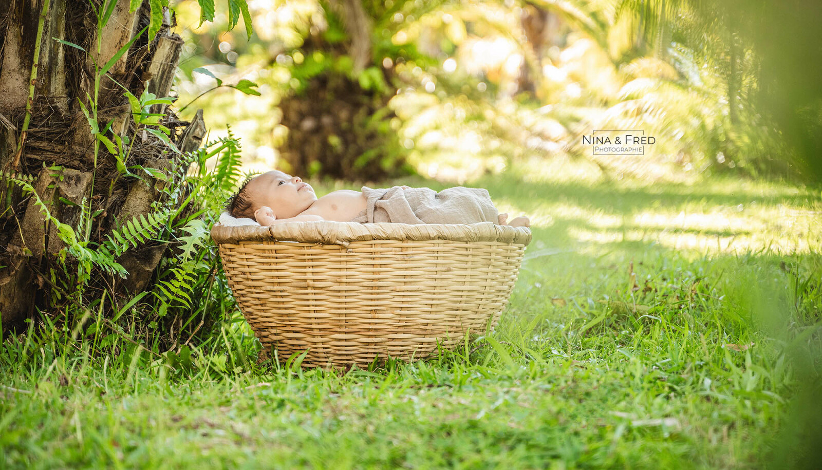 seance photo naissance H&N&D 974