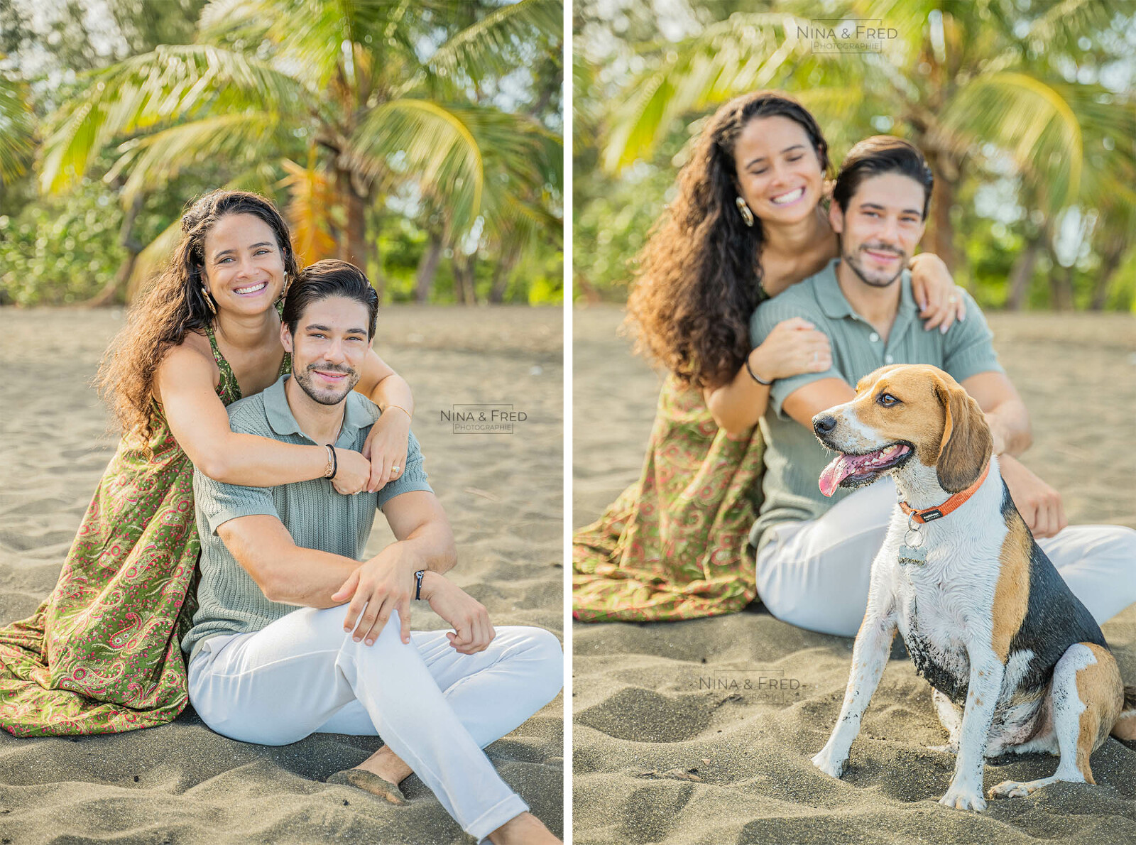 shooting avec chien île de la Réunion V&F&S